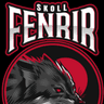 Profile picture for SkollFenrir