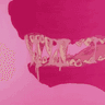 Profile picture for apric0tpit