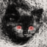 Profile picture for diniminiax