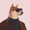 Profile picture for pasalaqua_
