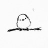 Profile picture for phebirb
