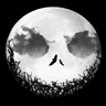 Profile picture for Kaldannan