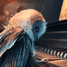 Profile picture for Birdy