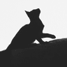 Profile picture for Shadowpaw31