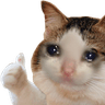 Profile picture for turtleninja52