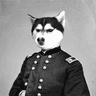 Profile picture for doggyfood
