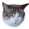 Profile picture for ZeldasKitten