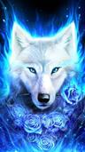 Profile picture for Lunastarlightwolfgoddess
