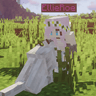 Profile picture for ellieroe