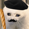 Profile picture for FwenchBaguette