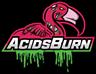Profile picture for Acidsburn