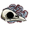 Profile picture for PBHiccup