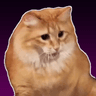 Profile picture for Henfor