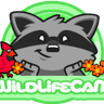 WildLifeCam