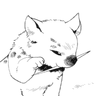 Profile picture for Danman152